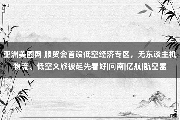 亚洲美图网 服贸会首设低空经济专区，无东谈主机物流、低空文旅被起先看好|向南|亿航|航空器