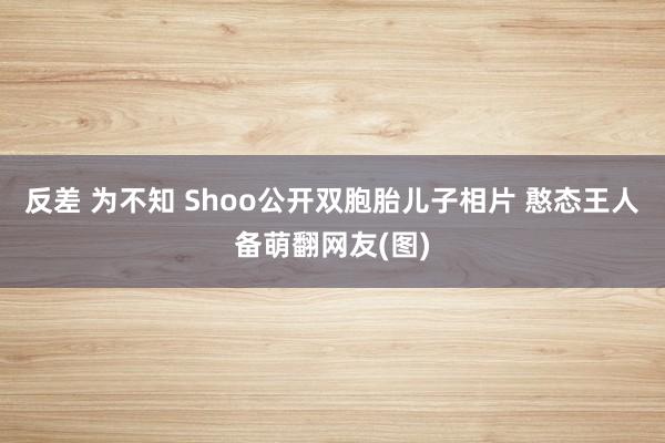 反差 为不知 Shoo公开双胞胎儿子相片 憨态王人备萌翻网友