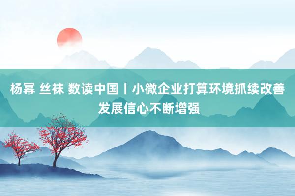 杨幂 丝袜 数读中国丨小微企业打算环境抓续改善 发展信心不断增强