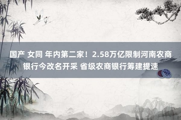 国产 女同 年内第二家！2.58万亿限制河南农商银行今改名开