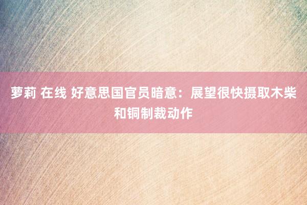 萝莉 在线 好意思国官员暗意：展望很快摄取木柴和铜制裁动作